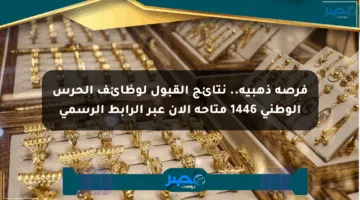 فرصة ذهبية.. نتائج القبول لوظائف الحرس الوطني 1446 متاحة الآن عبر الرابط الرسمي